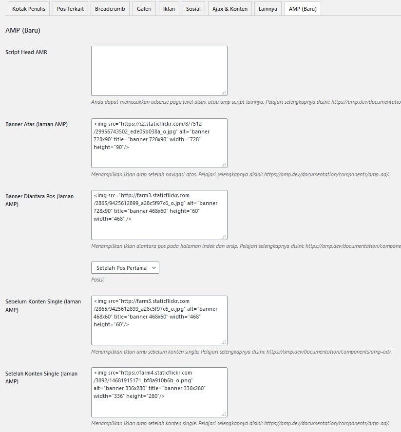 Pengaturan AMP Ads di Plugin Majalahpro Core