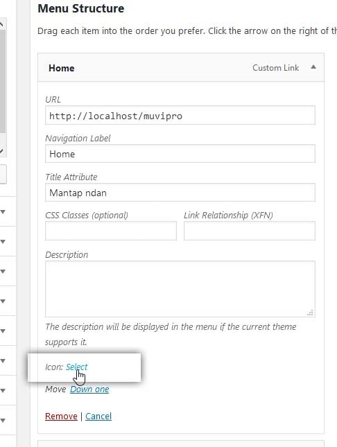 Pengaturan Icon di Item Menu Home