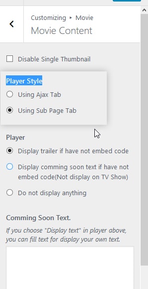 Player Style Settings